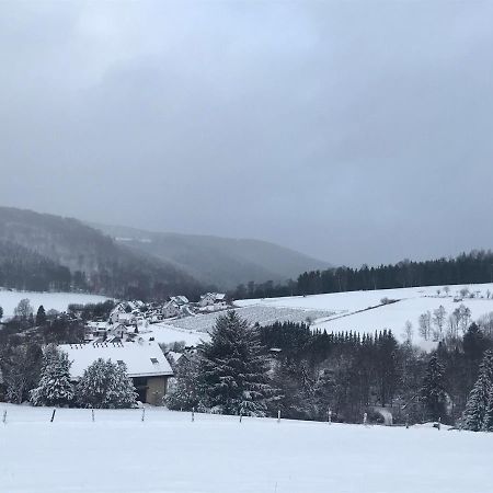 Appartement Familie Willems Winterberg 3 Exteriör bild
