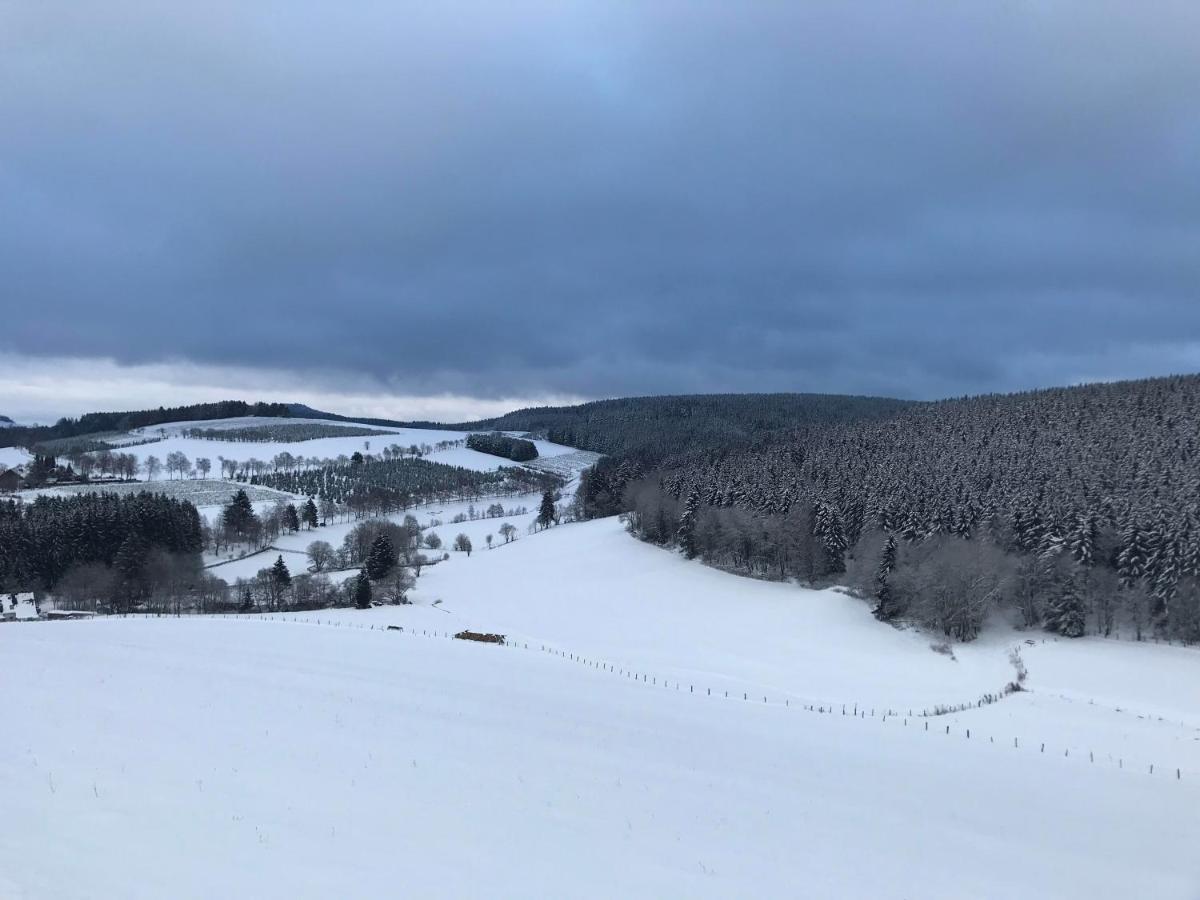 Appartement Familie Willems Winterberg 3 Exteriör bild