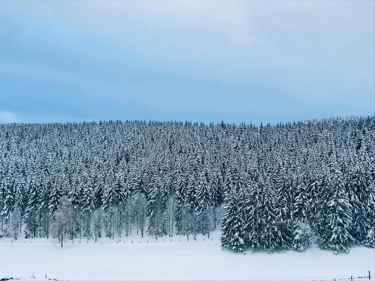 Appartement Familie Willems Winterberg 3 Exteriör bild